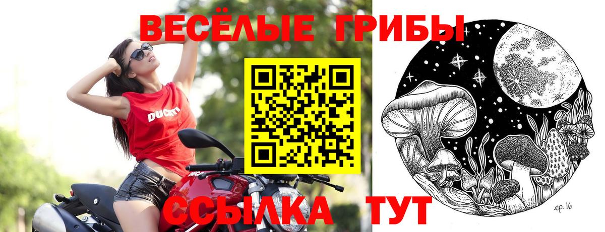 Псилоцибиновые грибы GOLDEN TEACHER Богданович