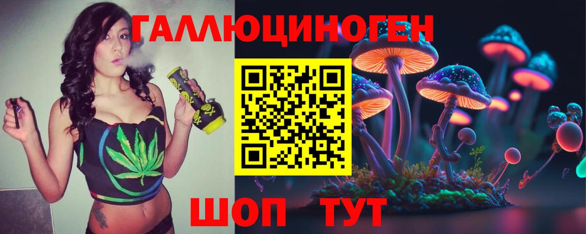 Галлюциногенные грибы Cubensis  Псилоцибиновые грибы Cubensis  Вход с VPN  Богданович 